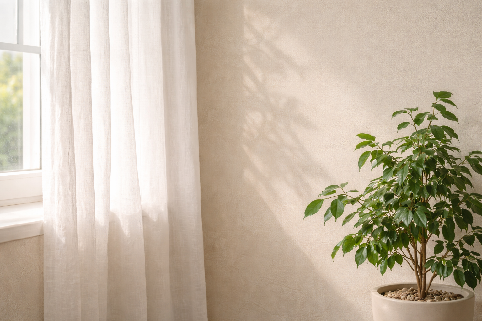 Ventana con cortina de lino y planta verde junto a pared beige iluminada por luz natural suave.